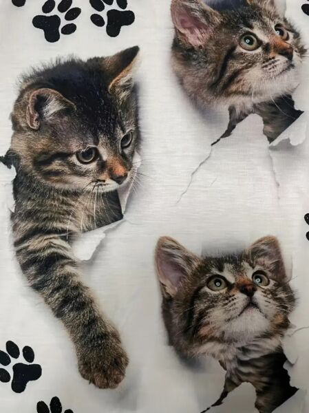 Kadın Kısa Kollu Kedi Ve Pati Baskılı Süprem T-shirt