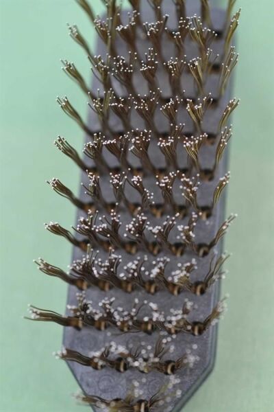 BUFFER® Metal Tel Fırça Plastik Saplı Pas Kir Sökme Temizleme Fırçası