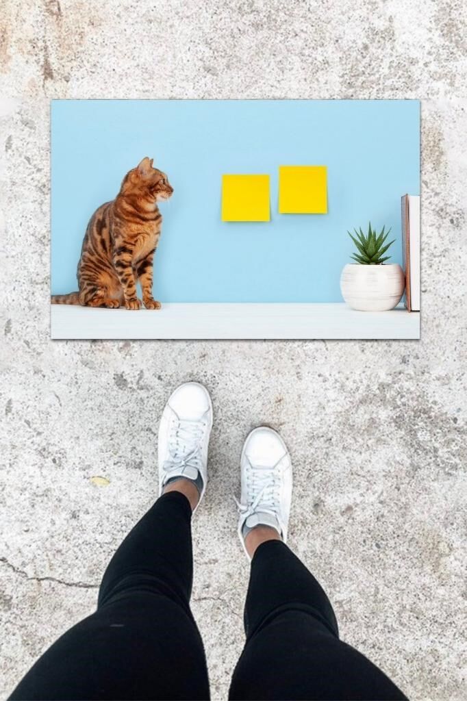 Dijital Baskı Mavi Sarman Kedi Desen Kapı Önü Paspası K-1029