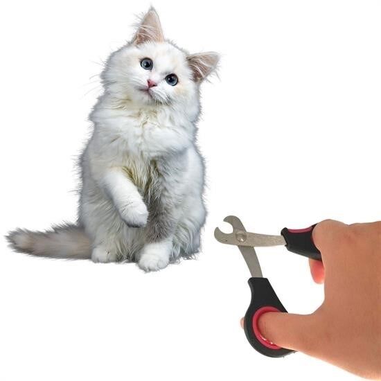 BufferBüyük Irk Köpek Kedi Çelik Uçlu Evcil Hayvan Tırnak Makası Pati Bakım Aleti Ergonomik Kaymaz