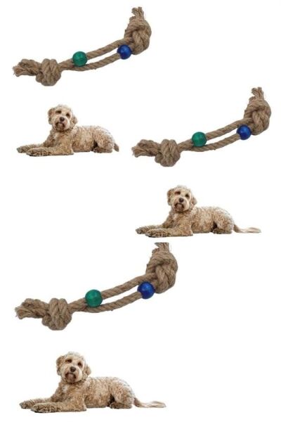 BUFFER® Diş Kaşıma İpi Köpek Oyuncağı Diş Güçlendirme Temizleme İpi Köpek Oyun Halatı