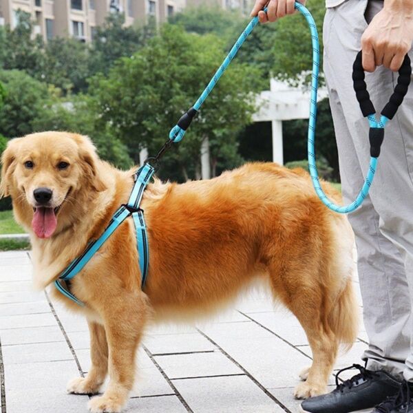 BUFFER® Reflektörlü Fosforlu Köpek Gezdirme Halatı Tasma Kayışı Metal Kancalı 130 cm