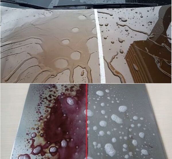 Hydroarmor Oto-motorsiklet Yağmur Kaydırıcı Ve Parlatıcı